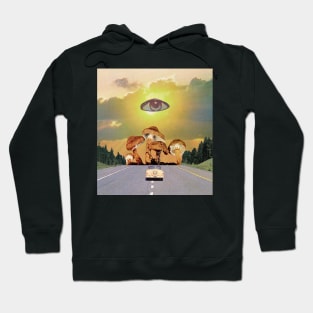 Shrooms kingdom Hoodie